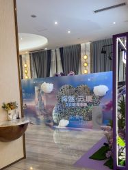 -深圳美莱医疗美容医院