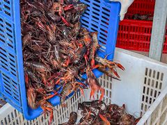 -虾味传奇(生态龙虾城店)