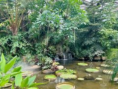 -昆明植物园