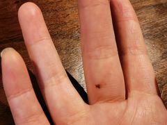 -美乐食街(小南店)