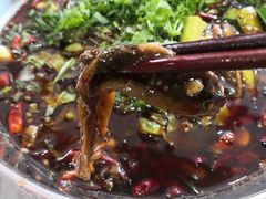 鳝鱼-临江后街鳝丝(临江店)
