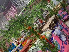 -物美大卖场(玉蜓桥店)