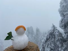 -峨眉山风景名胜区