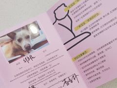 -艾贝尔宠物医院·24H转诊中心·肿瘤猫专科(江宁双龙店)