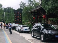 -青城甲(青城山店)