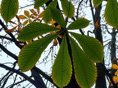 -国家植物园南园