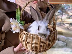 -正佳雨林生态植物园