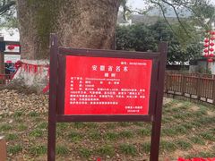-新安江山水画廊风景区