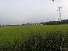 -嘉北郊野公园