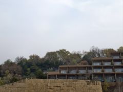 -北京中信金陵酒店