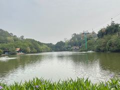 -广州长隆野生动物世界