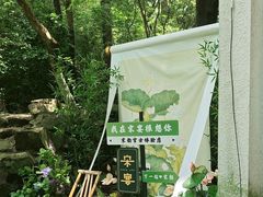 -宋宴(虎跑店)