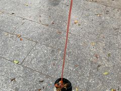 -黄埔古港