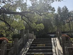 -安亭老街