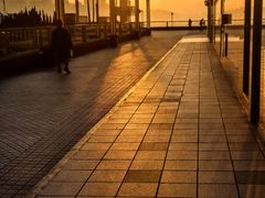 -香港皇家太平洋酒店