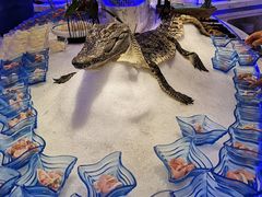 -澜悦港海鲜体验主题餐厅