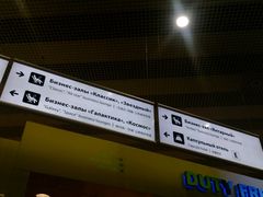 -谢列梅捷沃国际机场