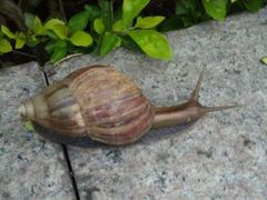 -南国桃园旅游度假区