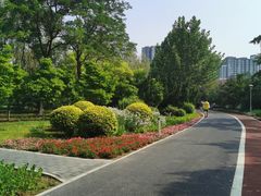 -望湖公园
