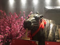 -秦宝雪花牛肉养生火锅(大兴九臻店)