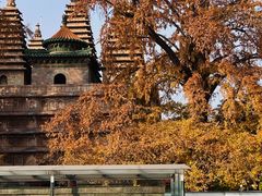 -北京石刻艺术博物馆(五塔寺)
