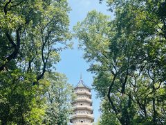 -灵谷景区