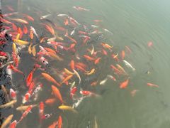 -南阳卧龙岗武侯祠