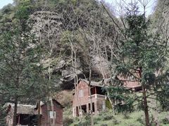 -夏霖九天银瀑风景区