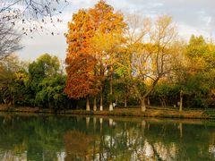 -西溪国家湿地公园