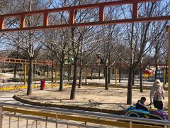 -朝阳公园游乐园