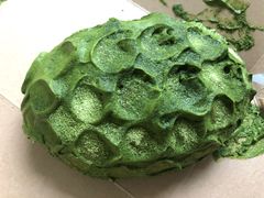 宇治抹茶脏脏包-PAPER STONE BAKERY(天环店)