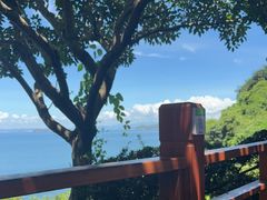 -美人鱼悬崖海景餐厅(鹿嘴山庄店)