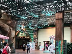 -杭州开元森泊度假乐园