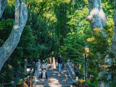 -上海醉白池公园