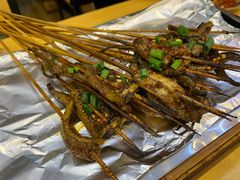-晓靖轩烧烤(沙河风情店)
