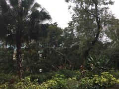 -九龙公园