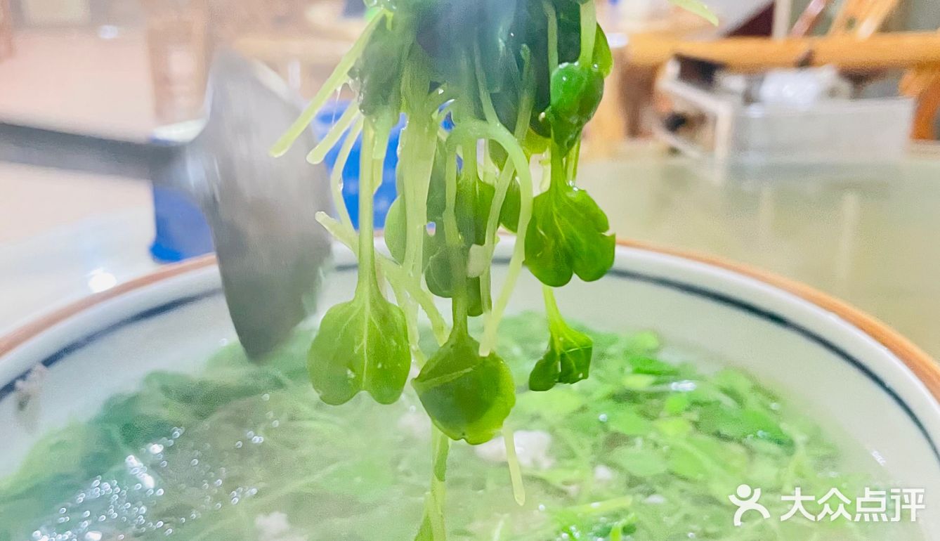 常德私房菜馆子推荐‼️干锅手撕鸭YYDS🦆