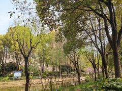 -陈家山荷花公园
