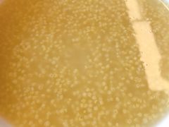 -仁和四季涮肉馆(天坛南门店)