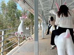 -盈香心动乐园