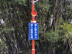 -黄埔油麻山森林公园