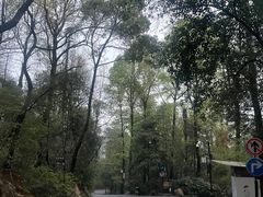 -岳麓山风景名胜区