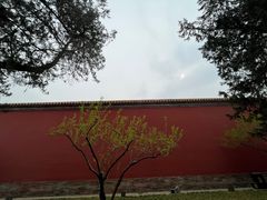 -北京市劳动人民文化宫(太庙)