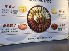 -珍妮曲奇聪明小熊(尖沙咀店)