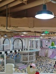 -多多淘儿童体验中心(重庆来福士店)