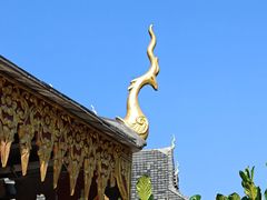 -西双版纳傣族园