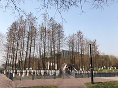 -月湖风景区