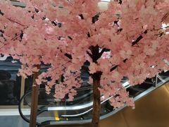 -国芳中心