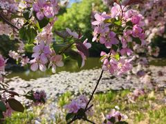 -沈阳植物园