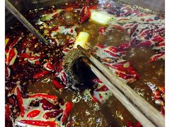 -重庆德庄火锅(体育中心店)